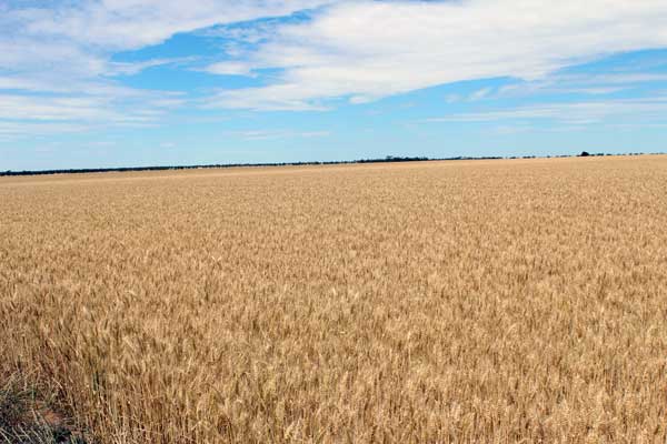 PORTION OF “CARINYA” LAH